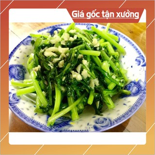 Hạt giống cải cúc 2500hạt ~20gram hạt giống