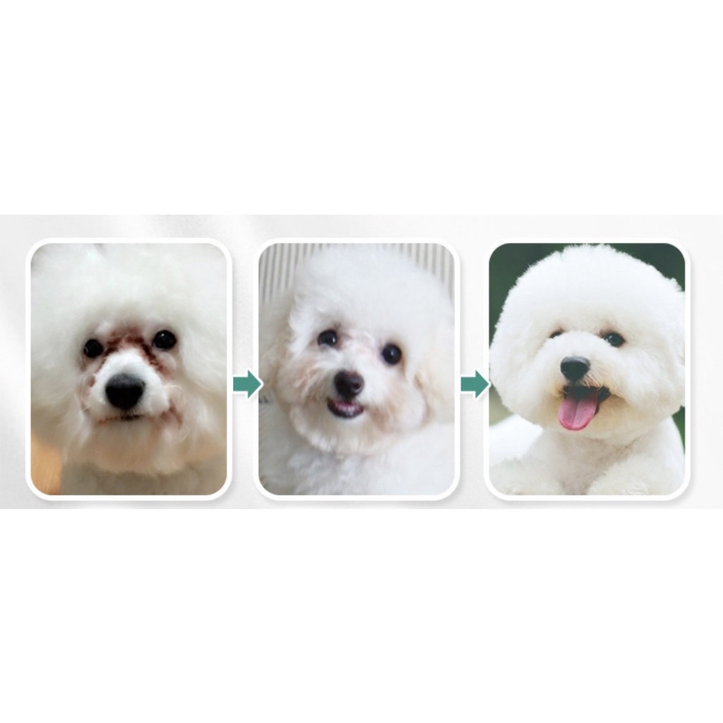 Hộp 130 miếng bông lau mắt ố cho thú cưng