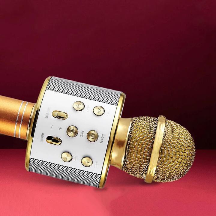 Micro Hát Karaoke kiêm loa Bluetooth Không Dây WS 858 Âm vang |Phutuan91