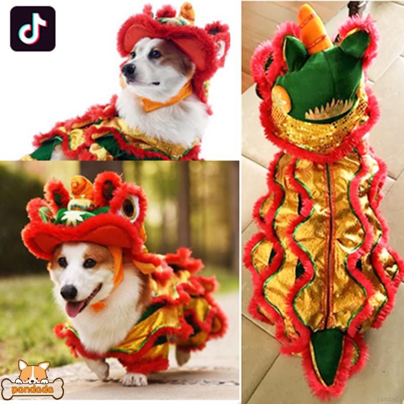 Bộ trang phục múa lân đáng yêu dành cho thú cưng