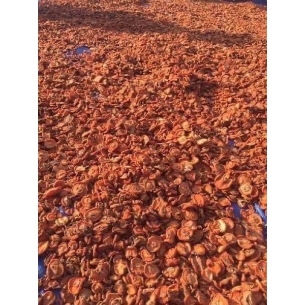 1kg Táo mèo khô ngâm rươu loại 1