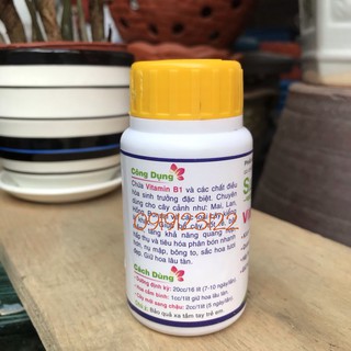 Phân Bón Lá NPK Super Roots Vitamin B1 100ml