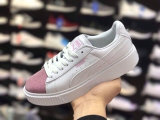 Puma puma.