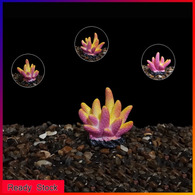 San Hô Giả Nhiều Màu Trang Trí Bể Cá
