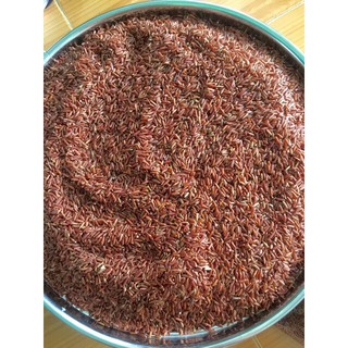 Gạo Lức Rang HANDMADE 1kg (túi zip)