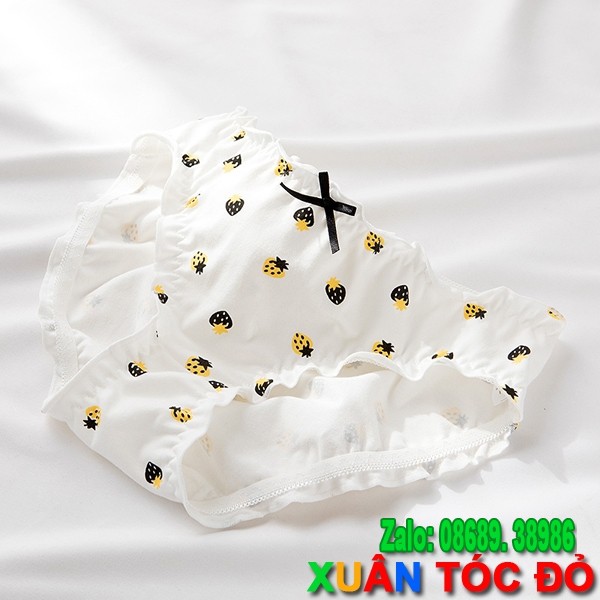 [Mã WASTDEP giảm 5K đơn bất kì] SỈ ZALO RẺ HƠN NHIỀU_ Quần Lót 5 Kiểu Hoa Quả Xịn Mới 5088 | BigBuy360 - bigbuy360.vn