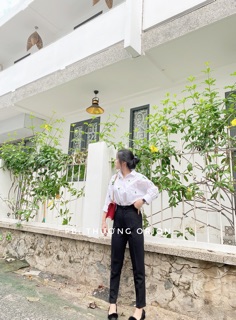 Quần MS18 ( 2 nút bọc) -Ảnh Chụp thật 100% - Đai Cao
