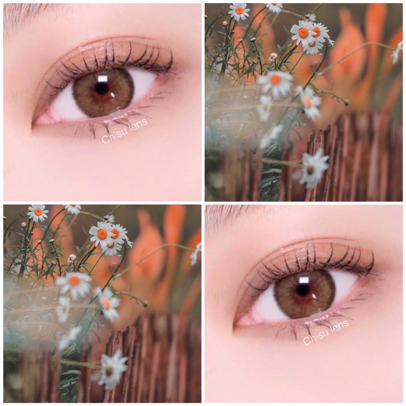 [Hot trend] Lens mắt nâu tây đủ độ cận 0-6 (dòng lens 1 năm sử dụng)