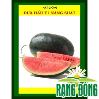 [Giống Chịu Nhiệt] Hạt Giống Dưa Hấu F1 Năng Suất Cao 2 Gram  - Hạt Giống Chịu Nhiệt
