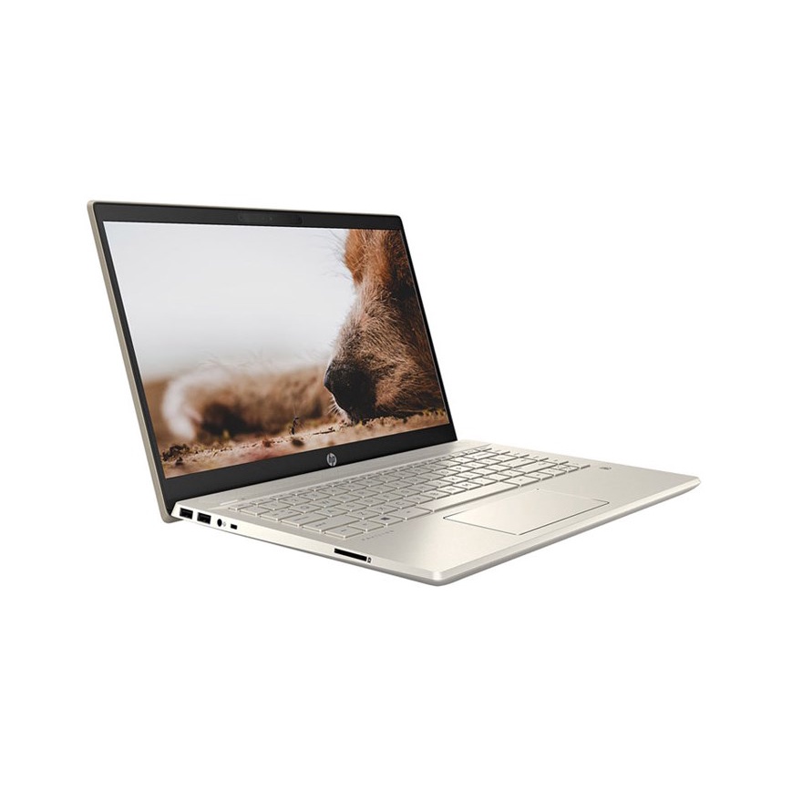 Laptop HP Pavilion 14-dv0507TU (46L76PA)/ Gold/ Intel Core i7-1165G7 (up to 4.70 Ghz, 12 MB)/ RAM 8GB DDR4/ 512GB SSD