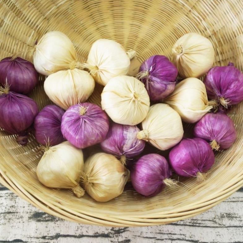 Củ hành tỏi giả trang trí phòng ăn, quán cafe, quán ăn