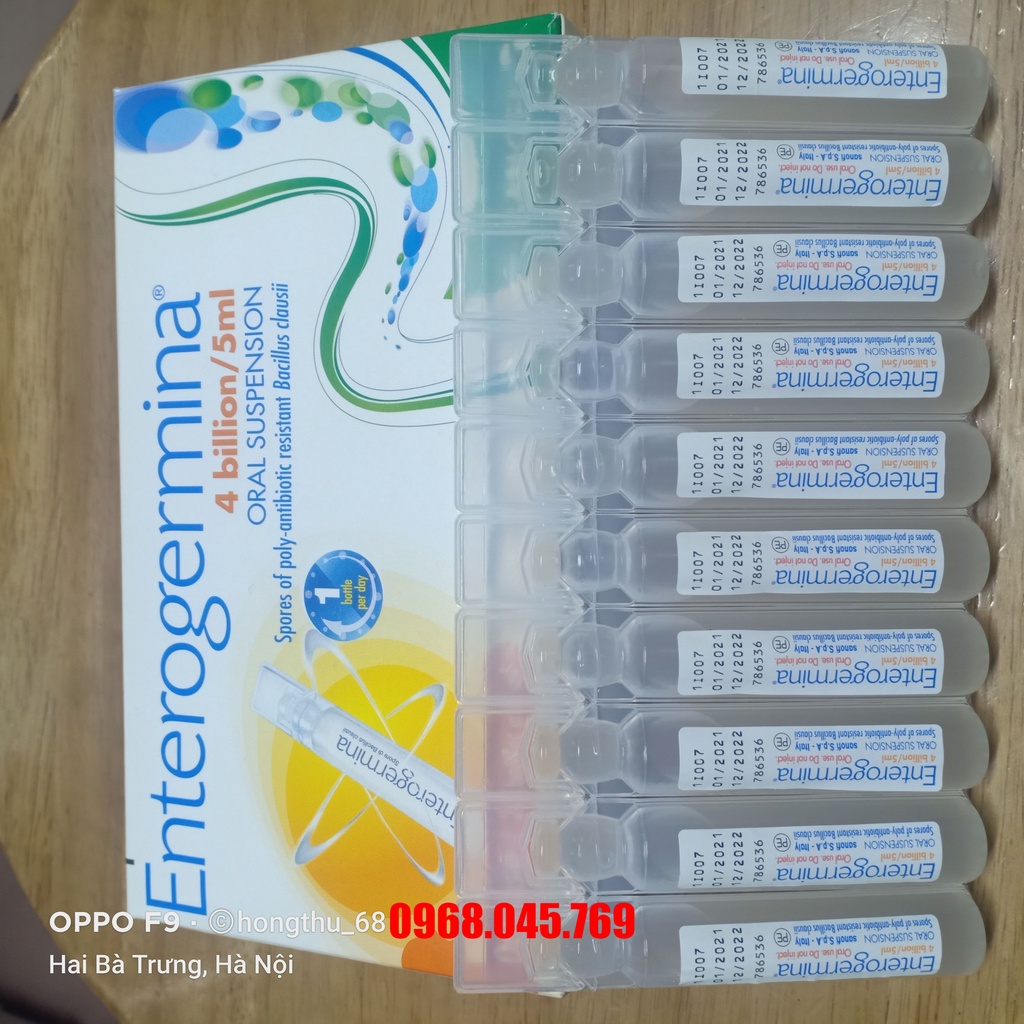 Men vi sinh Enterogermina chứa 4 tỉ bào tử Bacillus clausii mỗi ống 5ml