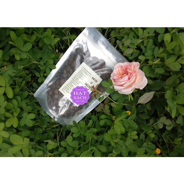 [Mã GROSALE2703 giảm 8% đơn 250K] Hạt sachi 500g Lê Nguyệt Nuts, Sachi Đắc Lắc thơm, giòn, bùi, giàu omega3, VSATTP | BigBuy360 - bigbuy360.vn