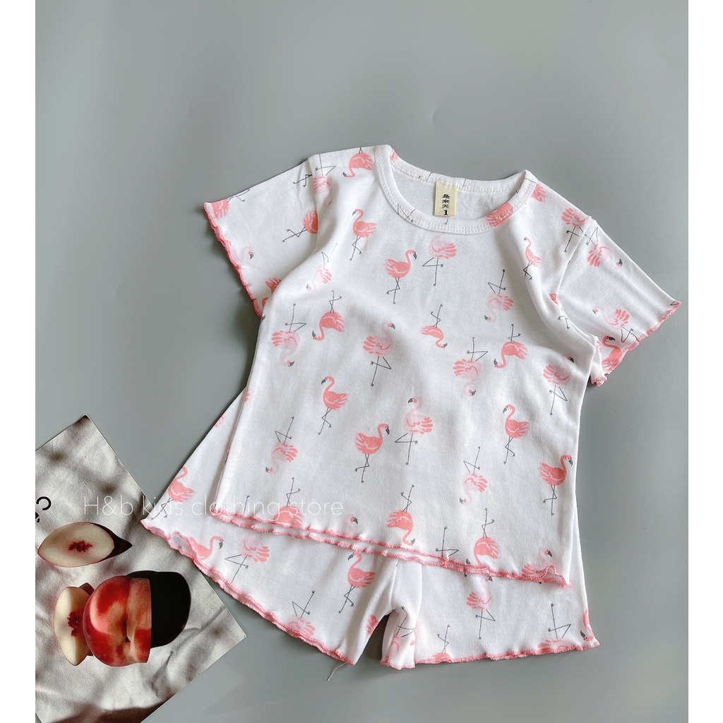 Bộ cotton hàn nền trắng bé gái