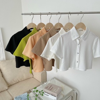 Áo polo croptop chất xốp mềm basic