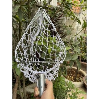 Vợt hái trái cây trên cao