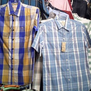 Áo Hollister bigsize 155k