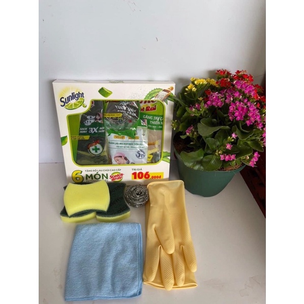 Combo 6 Món Quà Tặng Sunlight