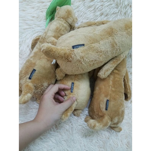 Gấu bông con chuột hải ly rái cá cầm lá sen hoa hồng