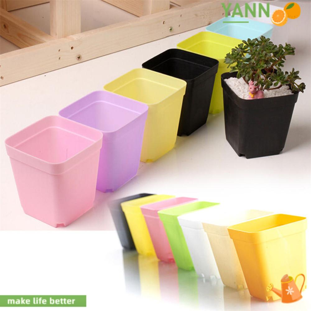 Bộ 10 Chậu Trồng Cây Bằng Nhựa Hình Vuông Màu Sắc Ngẫu Nhiên