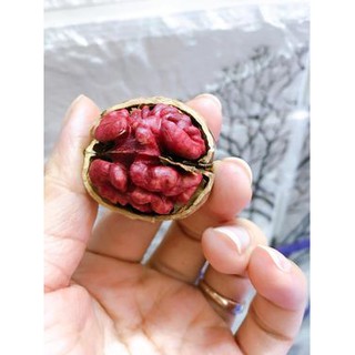 ÓC CHÓ NHÂN ĐỎ - (Đã bóc vỏ) (500gr)