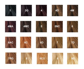 Kit nhuộm tóc Phyto Paris