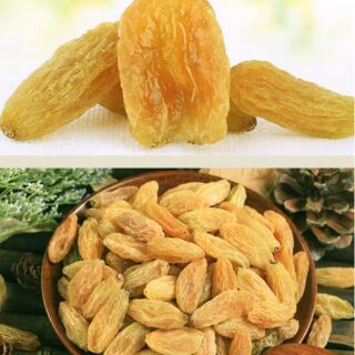 [LINK MỚI] SẴN 500G NHO KHÔ VÀNG TÂN CƯƠNG CỎ BA LÁ QUẢ SIÊU TO KHỔNG LỒ ( CÓ HÌNH THẬT)