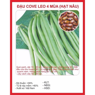 Hạt giống đậu cove leo 4mùa-50gr