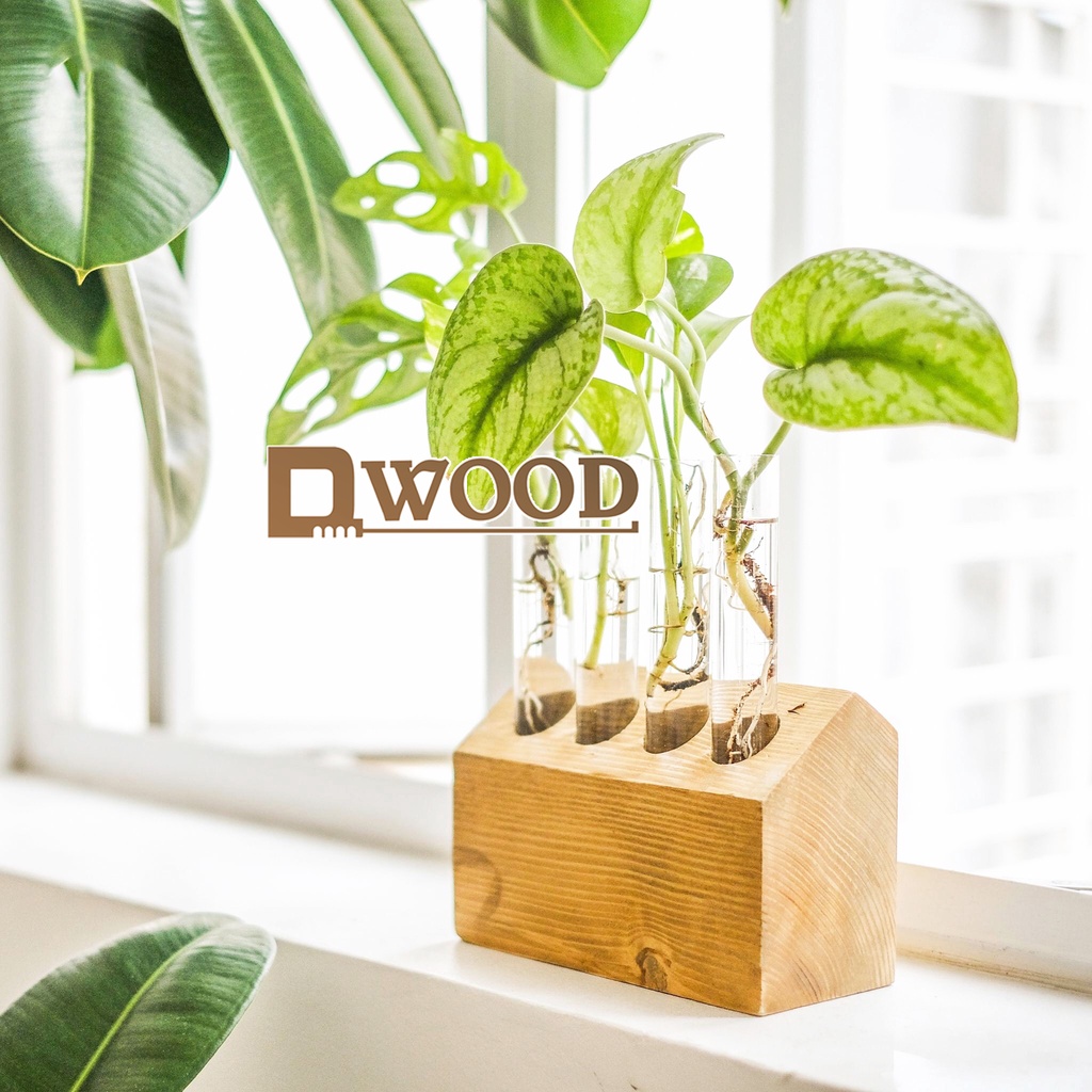 Đế gỗ Dwood đựng ống nghiệm, trồng cây và trang trí M3