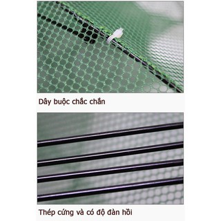 Lưới bắt cá bát quái