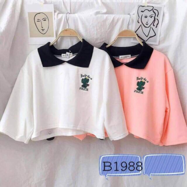 Áo Thun Tay Lỡ Form Croptop In Hình Xương Rồng Cá Tính TTSL0150