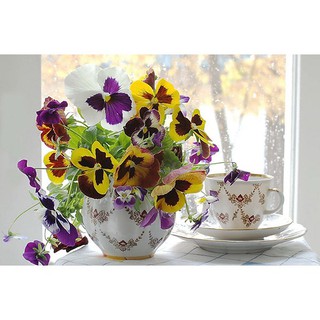 Hạt Giống Hoa Pansy /Hoa Cánh Bướm Mix Nhiều Màu (50-70 Hạt) - MUA 3 TẶNG 1 CÙNG LOẠI