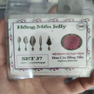 Dụng cụ làm thạch 3D Bộ 5 kim hoa cúc