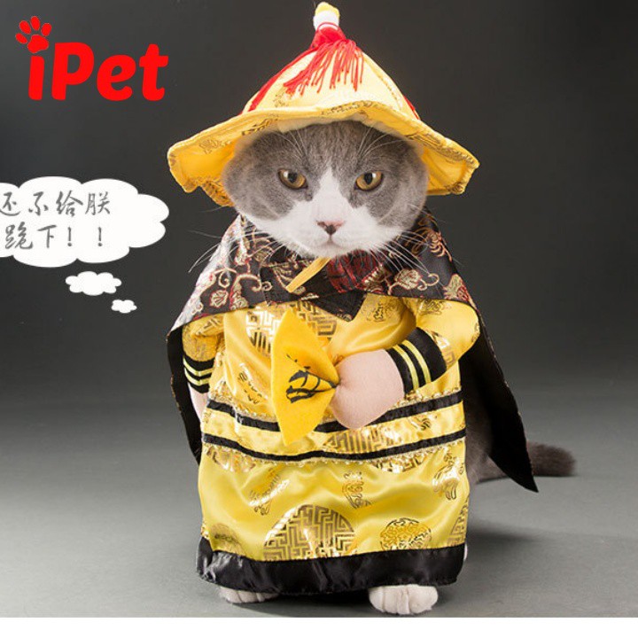 Bộ Đồ Quần Áo Đáng Yêu Cho Mèo Dưới 3kg - iPet Shop