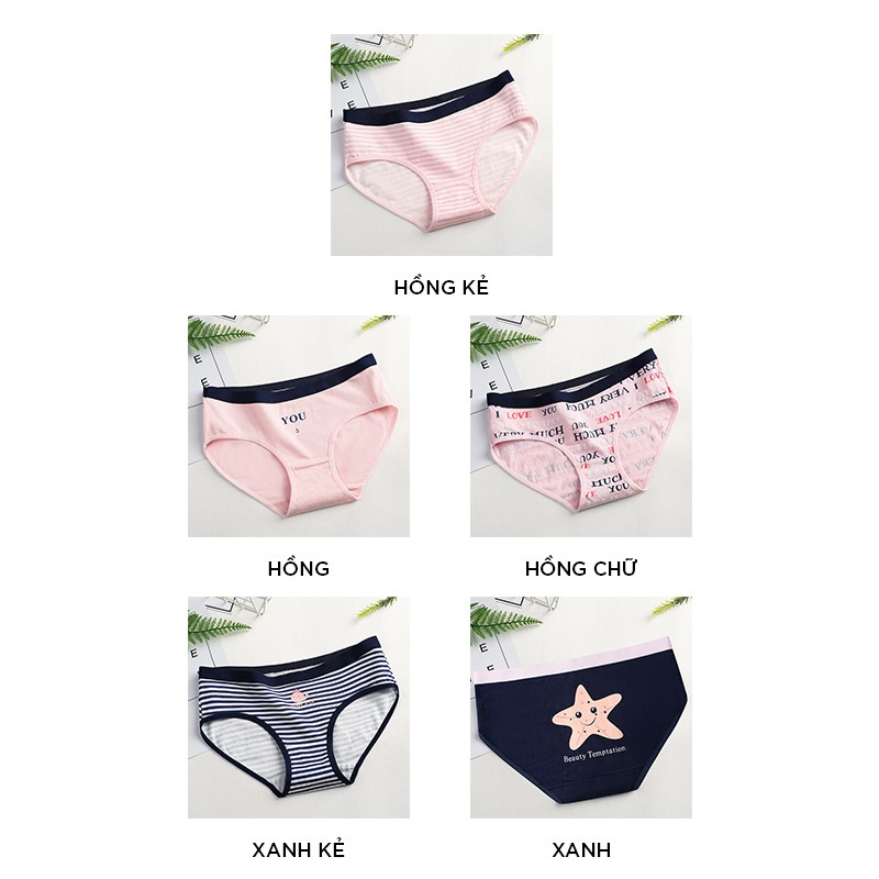 Quần lót nữ cotton cao cấp co giãn kháng khuẩn in hình đáng yêu dễ thương QL39 | BigBuy360 - bigbuy360.vn