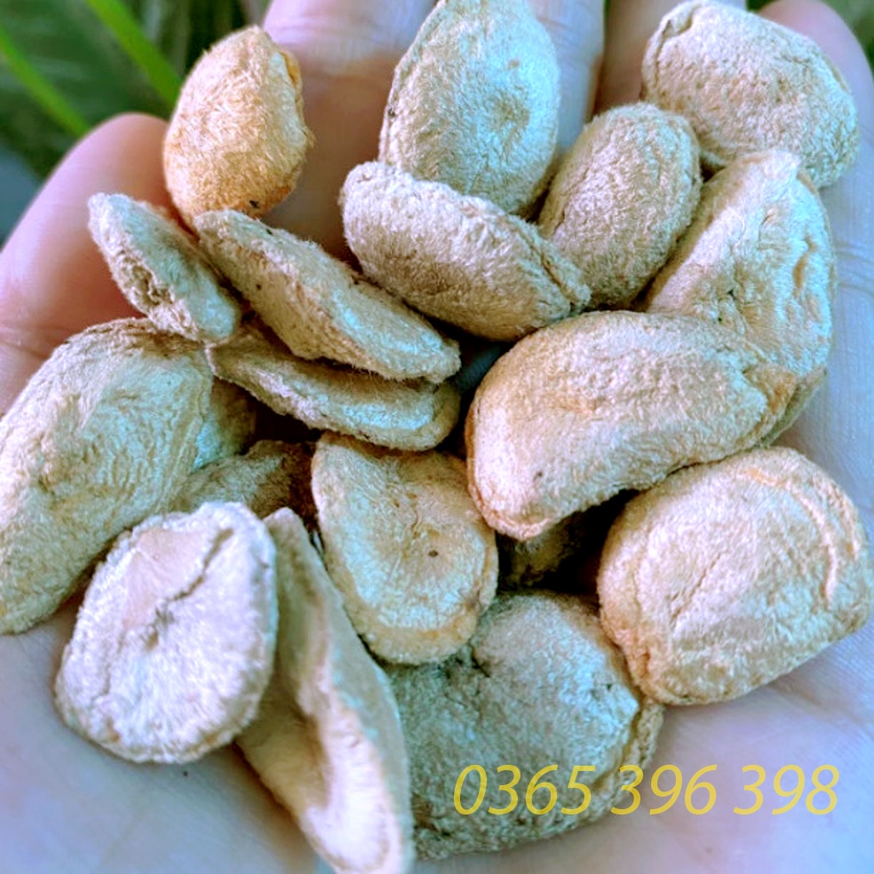 Hạt sành, hạt sang, hạt già ruật trắng hỗ trợ đau dạ dày, 1 gói