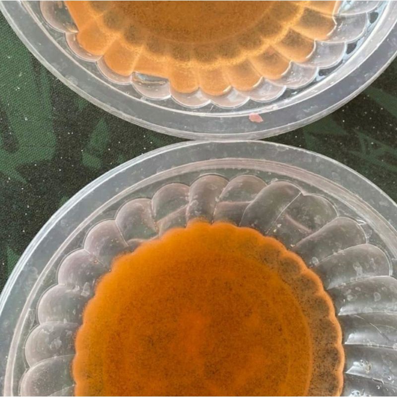 Artemia Mỹ Chuyên Cho Betta Trứng Nhỏ Ngang Vĩnh Châu - Thức Ăn Cho Cá Bột