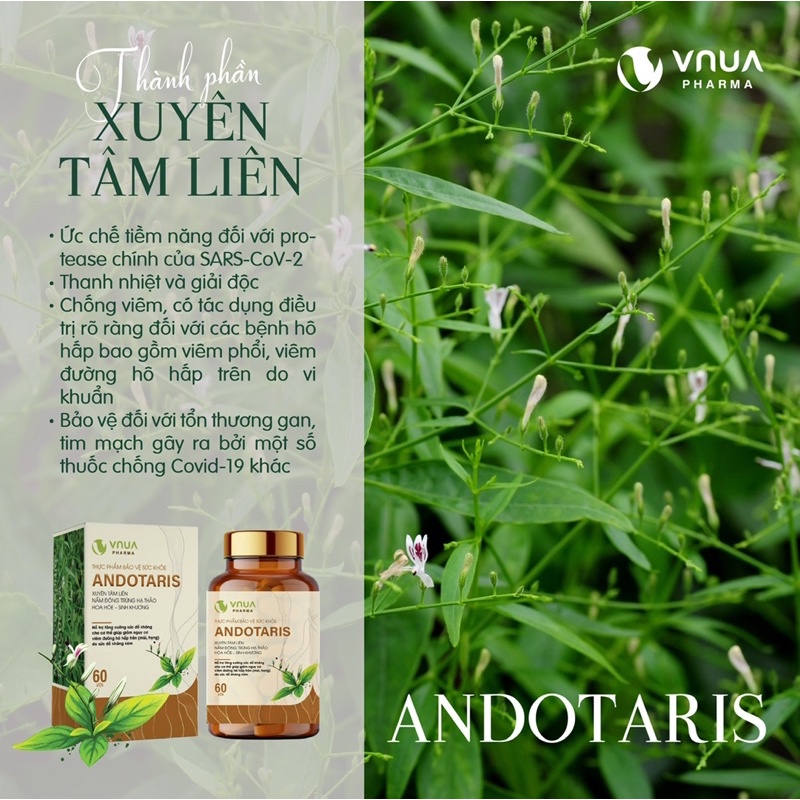[Sẵn] Viên Uống Tăng Đề Kháng ANDOTARIS Vnua Phẩm hộp 60 viên