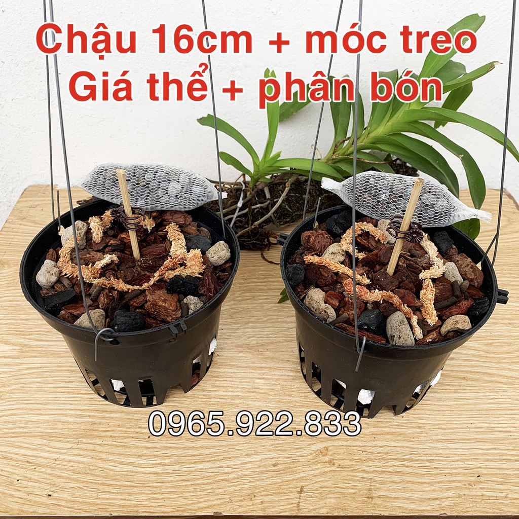 [Giá RẺ]  2 Chậu giá thể trồng lan hoàn chỉnh về chỉ việc chơi chất đẹp.