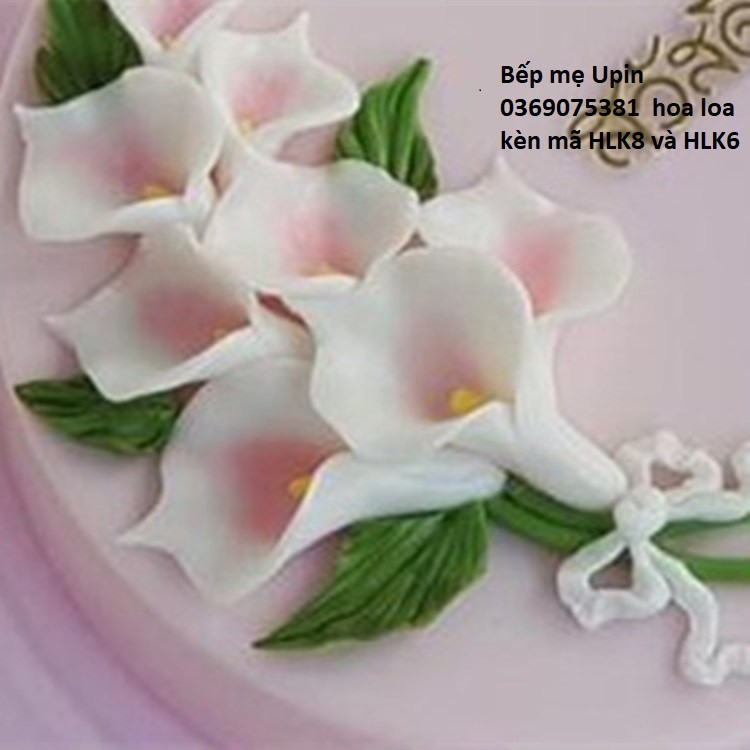 Khuôn silicon hoa loa kèn mã HLK8 HLK6 và HLK7