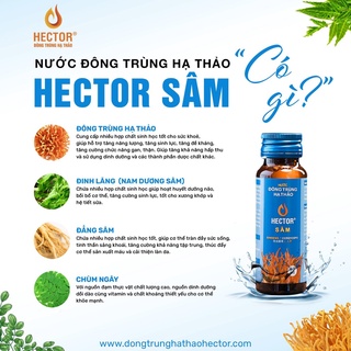 Nước Nấm Đông Trùng Hạ Thảo Hector Xanh 50ml/chai-Hộp 10 chai