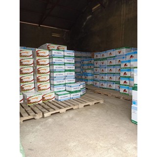 combo 2 lọ diệt mối tận gốc PMC 90
