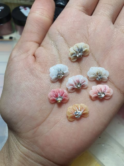 Hoa bột _ hoa cúc ôm móng