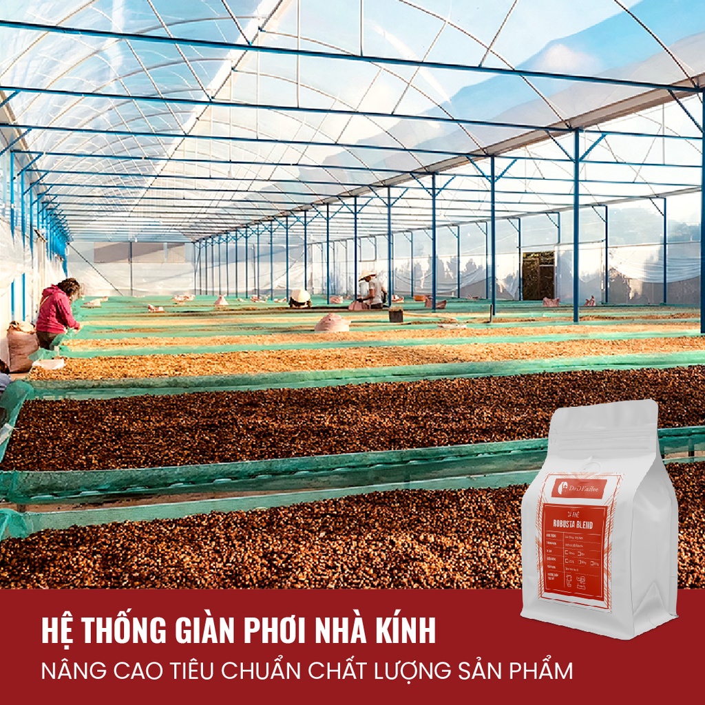 Bộ 2 Gói 500gr Cà phê Robusta Blend, Cà phê nguyên chất 100% rang mộc - D&amp;D Kaffee [Tặng 3 Gói Cà phê Phin Giấy]