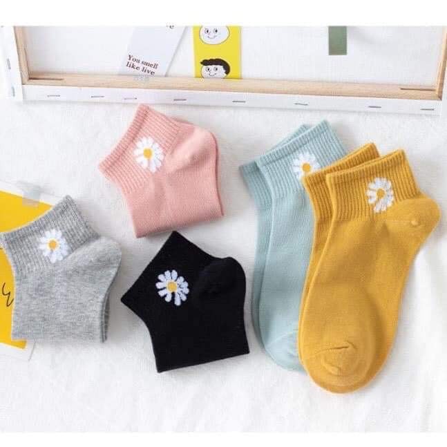 Tất nữ cổ ngắn cotton thêu hình cúc họa mi xinh xắn cả nhà dùng được