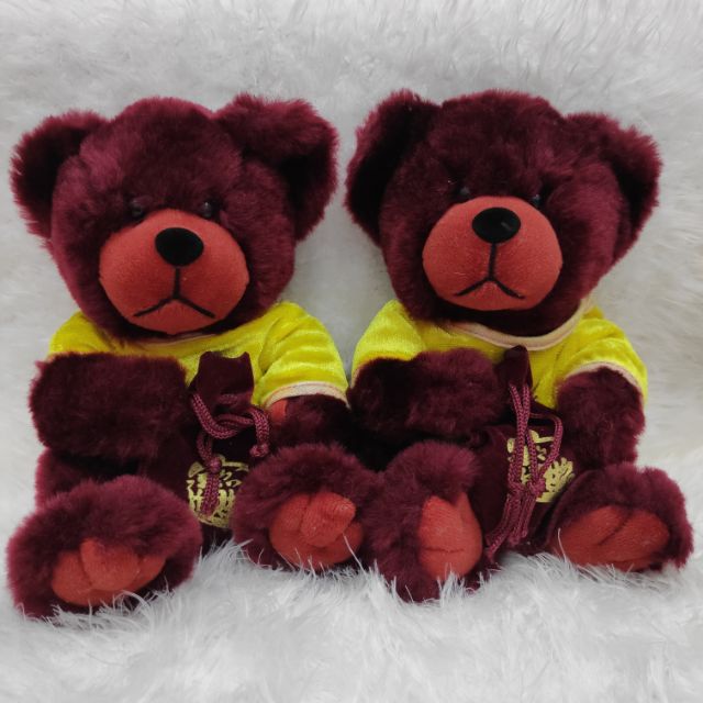 Gấu bông teddy nhung đẹp
