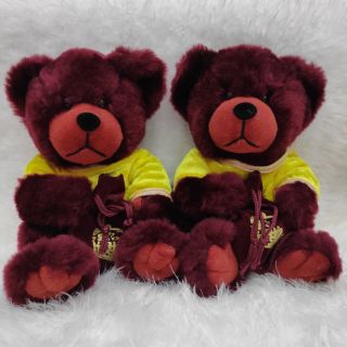 Gấu bông teddy nhung đẹp