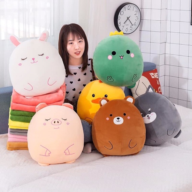 Set chăn gối 2in1