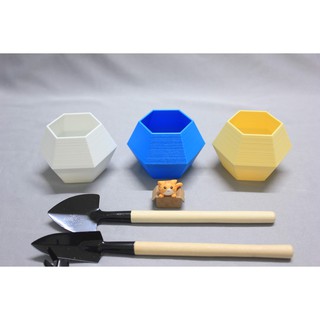 Chậu cây lục giác