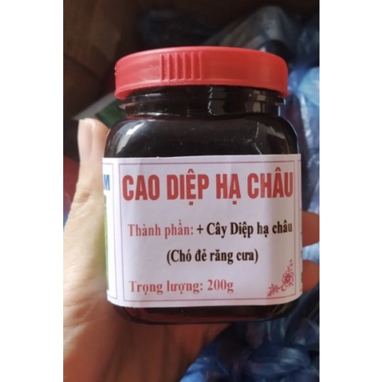 Cao Diệp hạ châu-Chó đẻ răng cưa hộp 200g